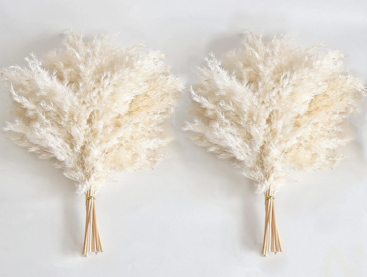 White Pampas Grass for Home Decor - Elegant Boho Decor - Premium Quality Pampas Grass Stems