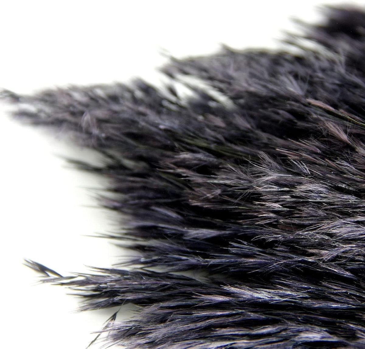 Black Pampas Grass for Home Decor - Elegant Boho Decor - Premium Quality Pampas Grass Stems