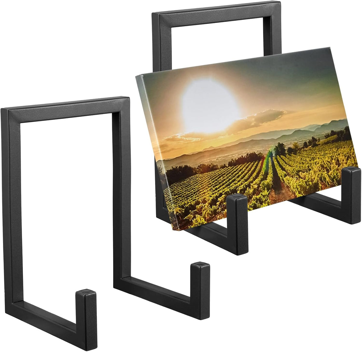 Sweetude 2 Pcs Large Plate Stands for Display Metal Frame Plate Holder Display Stand Decorative