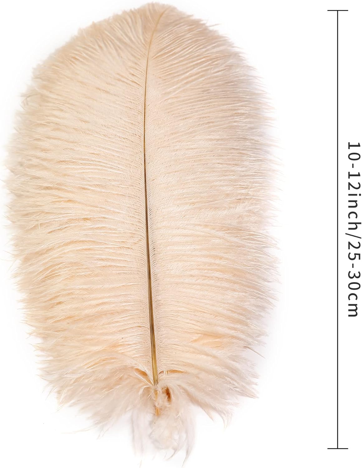 Ballinger Light Salmon Ostrich Feathers - 24pcs 10-12inch Feathers for vase，Wedding Party