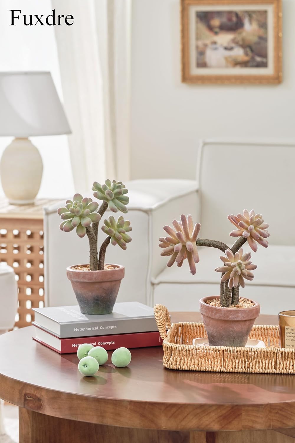 2-Pack Artificial Succulent Plants in Vintage Plastic Pots - Waterproof Fake Succulents Decor for
