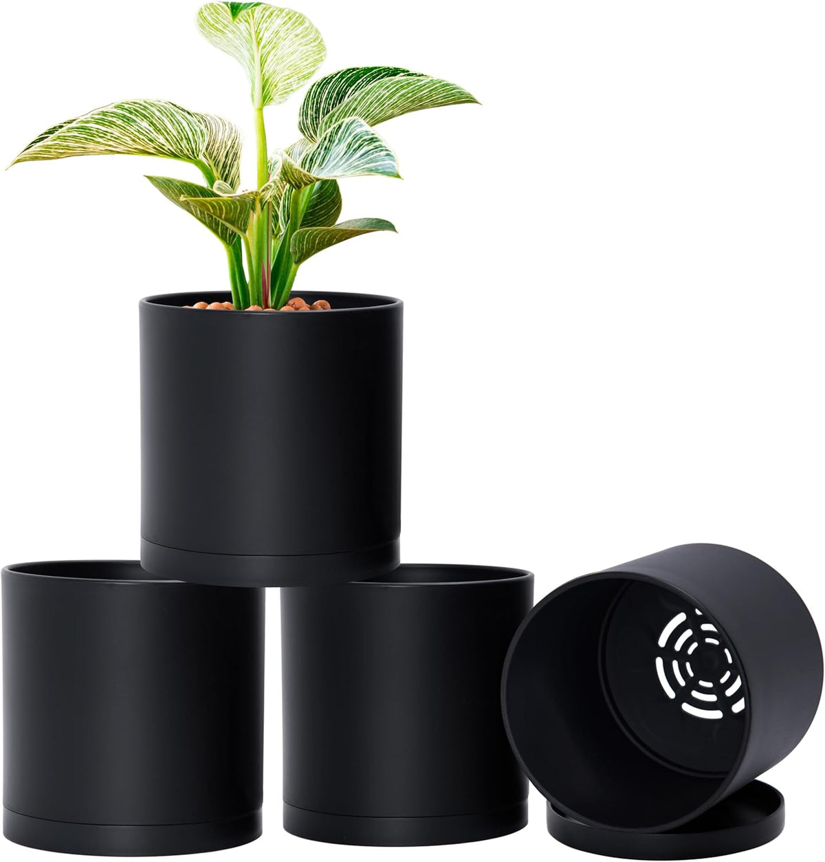 D'vine Dev 4 Pack 6 Inch Modern Plastic Plant Pots, Small Garden Planters for Plant with Drainage
