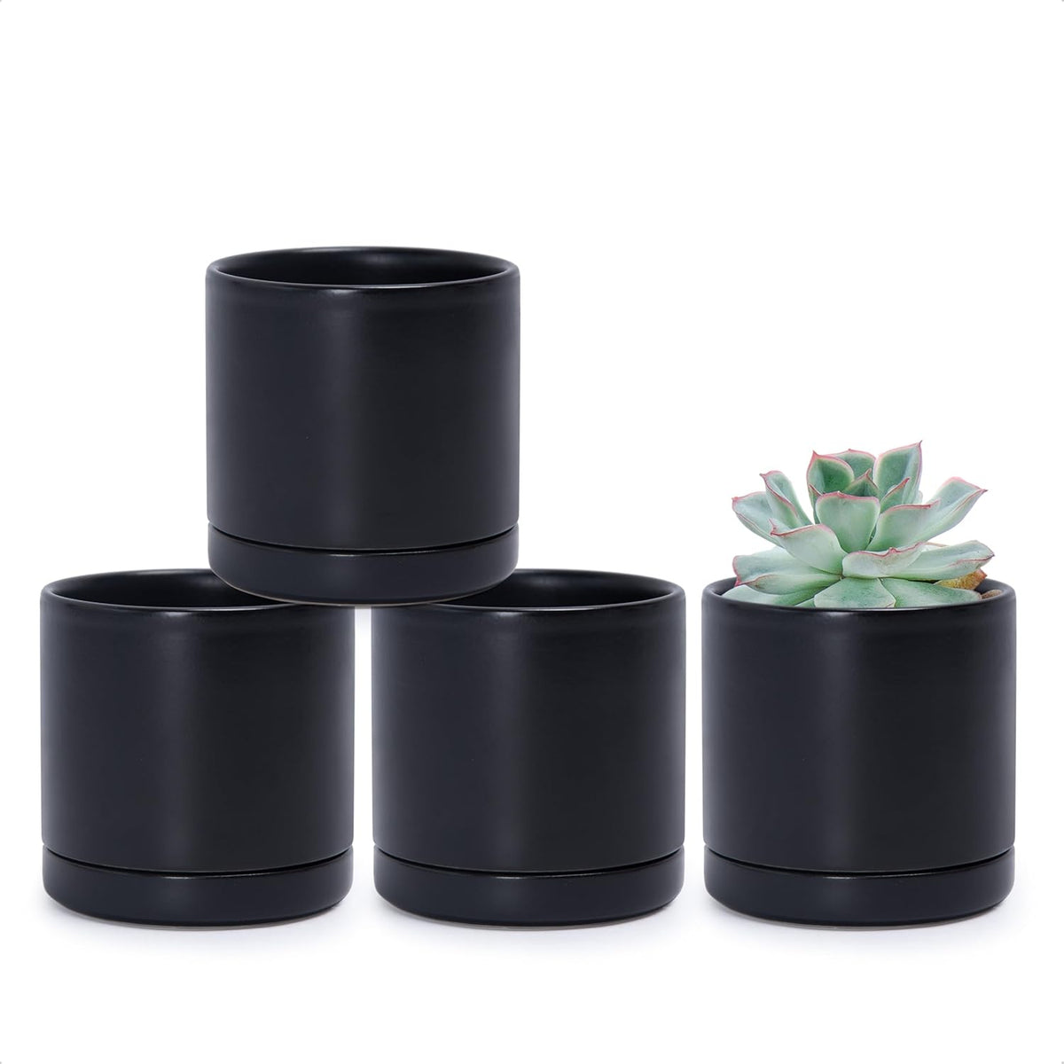 D'vine Dev Set of 4 Small Ceramic Plant Pots, 3.5 Inch Succulent Planter Pot for Plants with