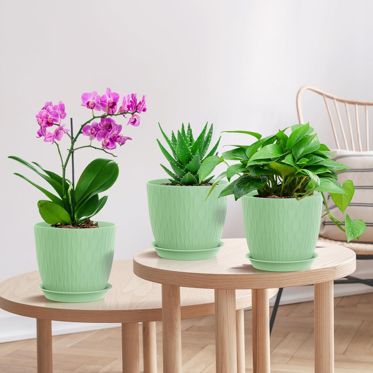 7 inch Flower Pots, 5 Pack Plant Pots with Drainage Holes and Saucers for Indoor Plants, Plastic