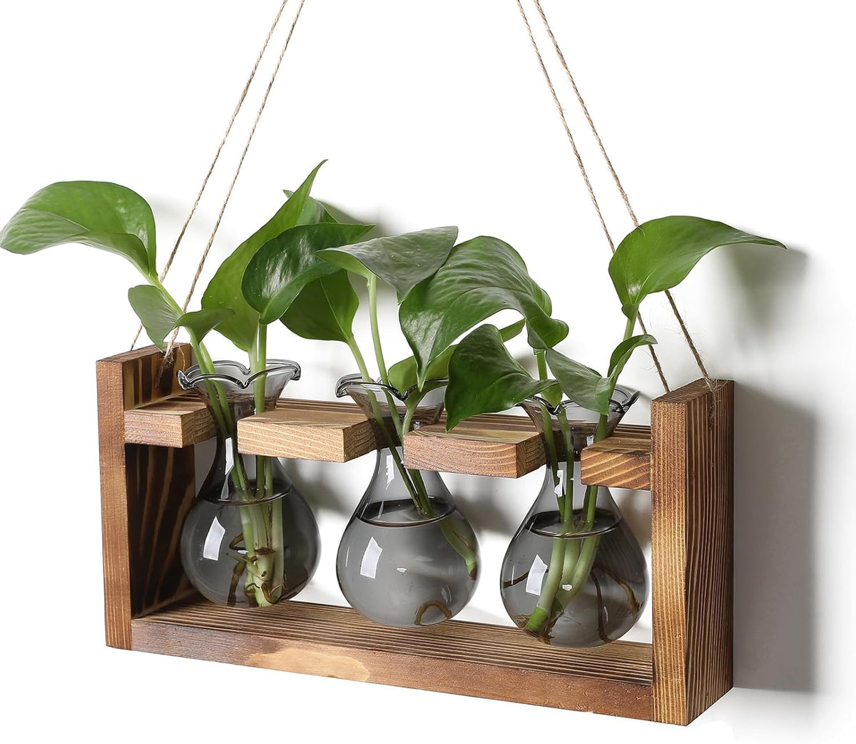 Plant Propagation Station Plant Terrarium Unique Birthday Gifts for Women Home Office Decor Planter