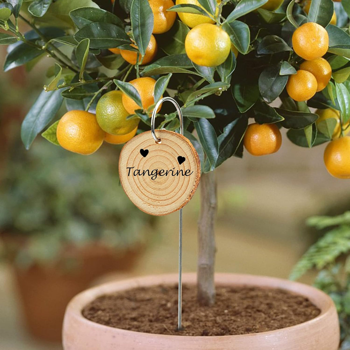 Temlum Wooden Plant Labels with Marker Pen, 50 Pcs Plant Markers Garden Label Stakes Plant Sign