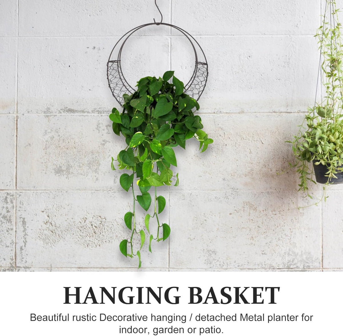 Air Plants Holders Wire Wreath Frame Hanger, 11 inch Moon Shape Wreath Form Hanging Plant Holder