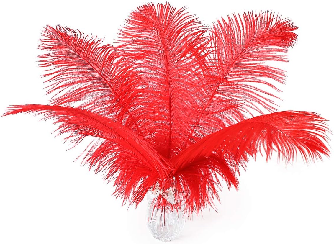Ballinger Red Ostrich Feathers Bulk - 24Pcs 8-10inch Feathers for Crafts,Party Centerpieces,Wedding