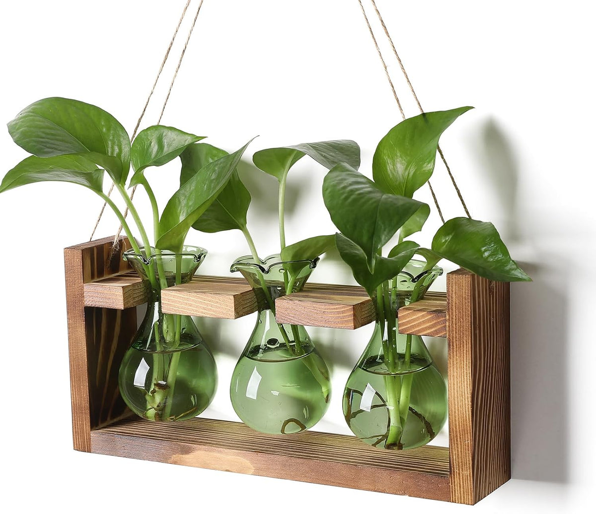Plant Propagation Station Plant Terrarium Unique Birthday Gifts for Women Home Office Decor Planter