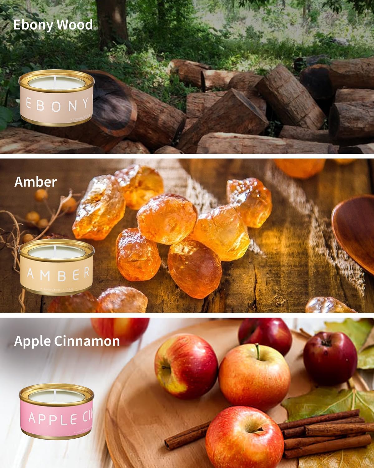 VTS Fall Candles Set, 6 Pack Aromatherapy Candles (Apple Cinnamon, Fir Tree, Mahogany, Ebony Wood