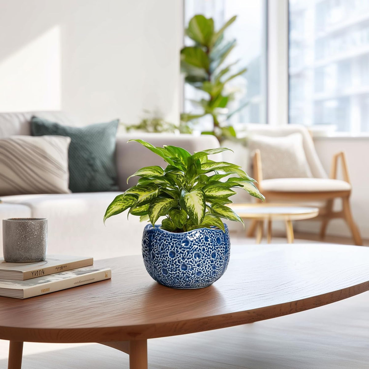 Orchid Pot - 6 Inch Ceramic Plant Pot for Indoor Outdoor, Round Unique Planters with Drainage Hole
