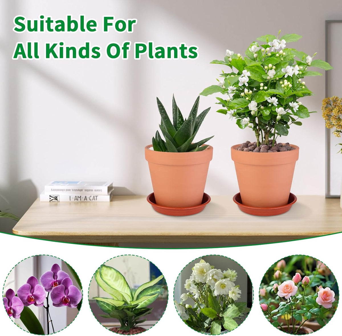 6 Pack 6 Inch Terracotta & Clay Pots with Saucer for Plants, Large Terra Cotta Plant Pot with