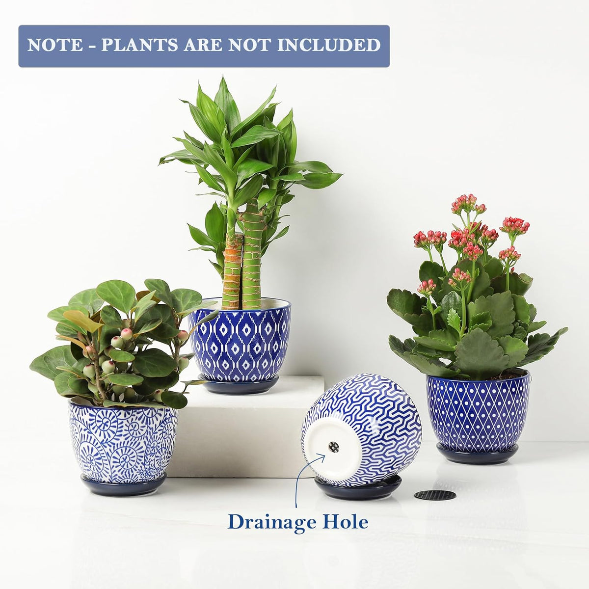 Selamica Ceramic Succulent Pots with Drainage Holes, Small Flower Pots 3.5 Inch Plant Pots for