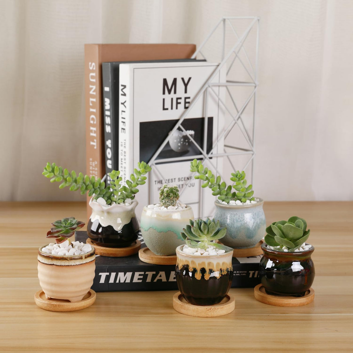 T4U Mini Ceramic Succulent Pots with Drainage - Set of 6, Tiny Pots for Plants, Home and Office