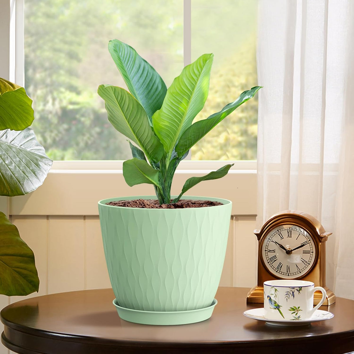 6 inch Plant Pots, 5 Pack Flower Pots with Drainage Holes and Saucers for Indoor Plants, Plastic