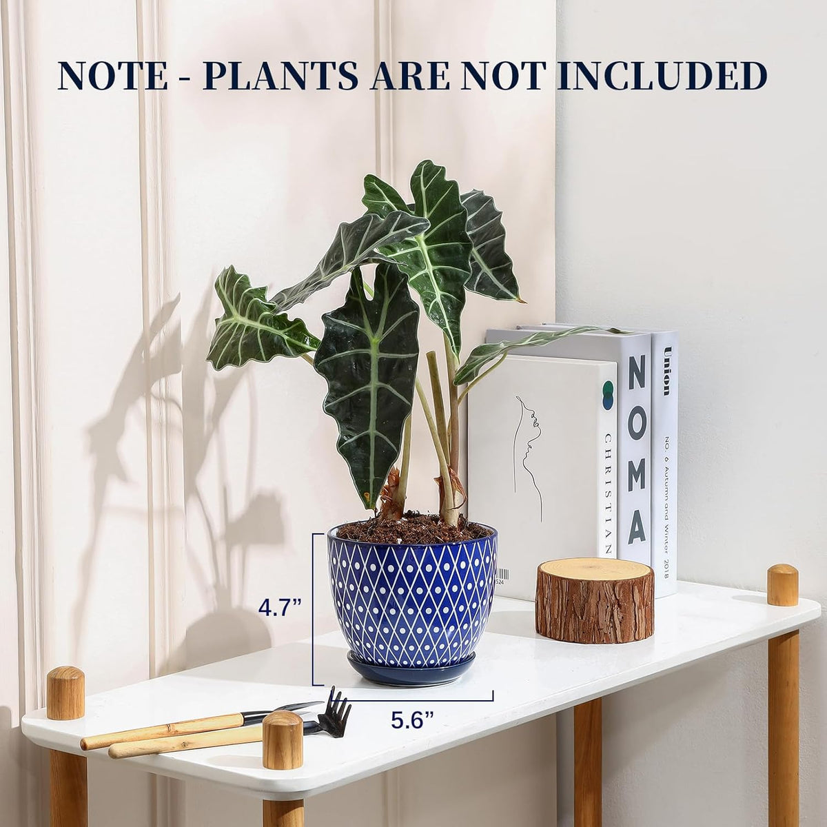 Selamica Ceramic Plant Pots, 5.6 Inch Flower Pots for Indoor Plants with Drainage Hole and