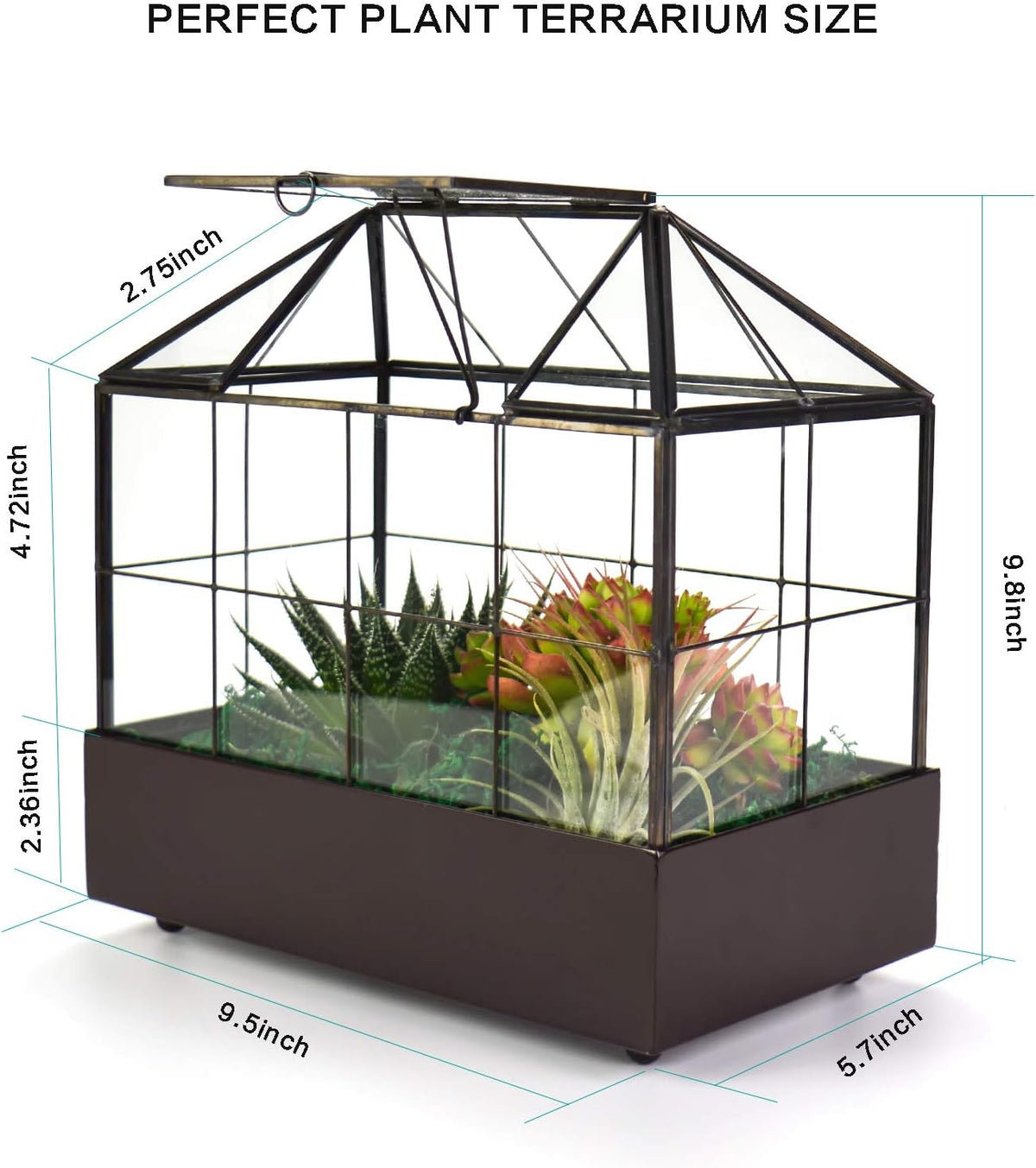 Large Tall Plant Terrarium Glass Greenhouse with Lid and Tray, Indoor Tabletop Orchid Succulent
