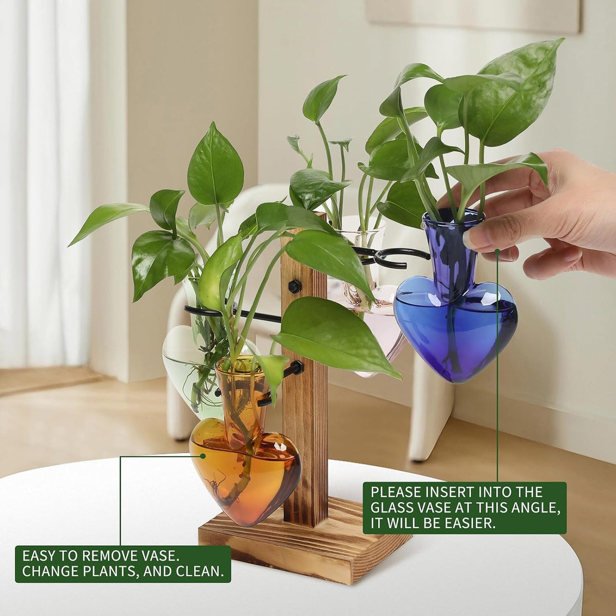 Plants Propagation Stations Plant Terrarium Kit Glass Planters for Indoor Plants House Plant
