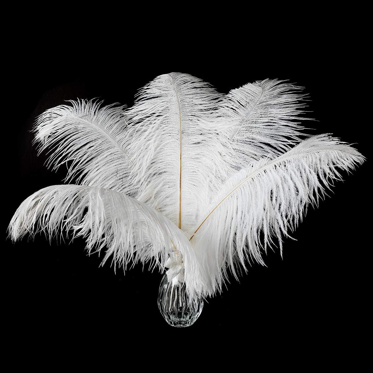 24pcs Natural White Ostrich Feathers 10-12inch (25-30cm) for Wedding Party Centerpieces，Flower