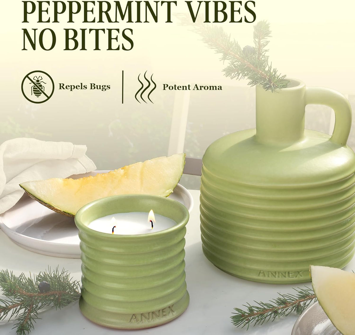 Scented Luxury Candles Outdoor Mosquito Bug Repellent Ceramic Jars, Soy Wax | The Green Life, Large