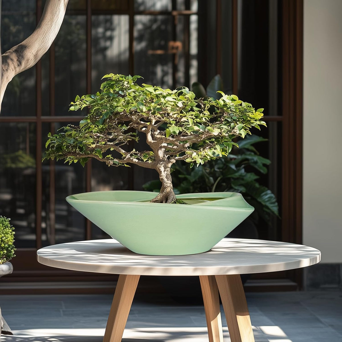 Ceramic Bonsai Pot - 18 Inch Planter with Drainage Hole Large Modern Bonsai Planter Decorative