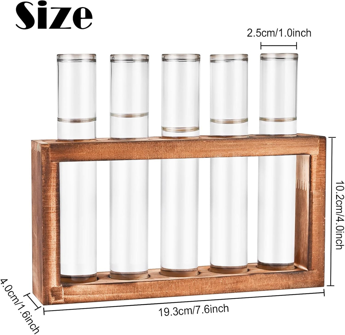 Desktop Glass Plant Propagation Station with 5 Test Tubes in Wooden Stand - Hydroponic Plants
