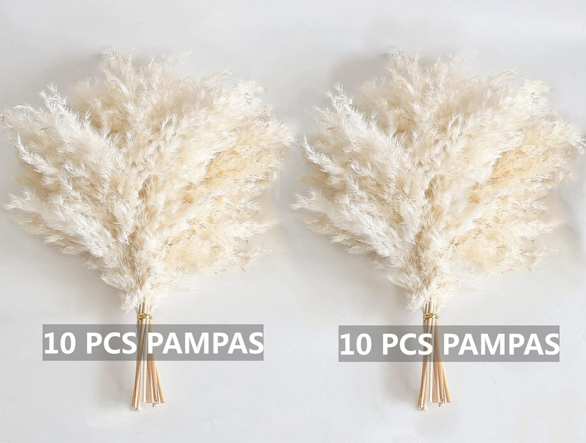 White Pampas Grass for Home Decor - Elegant Boho Decor - Premium Quality Pampas Grass Stems