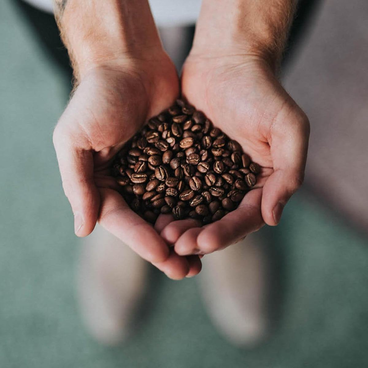 Coffee Bean Direct Dark Sumatra Mandheling, Whole Bean Coffee, Arabica Coffee, Dark Roast, 2.5