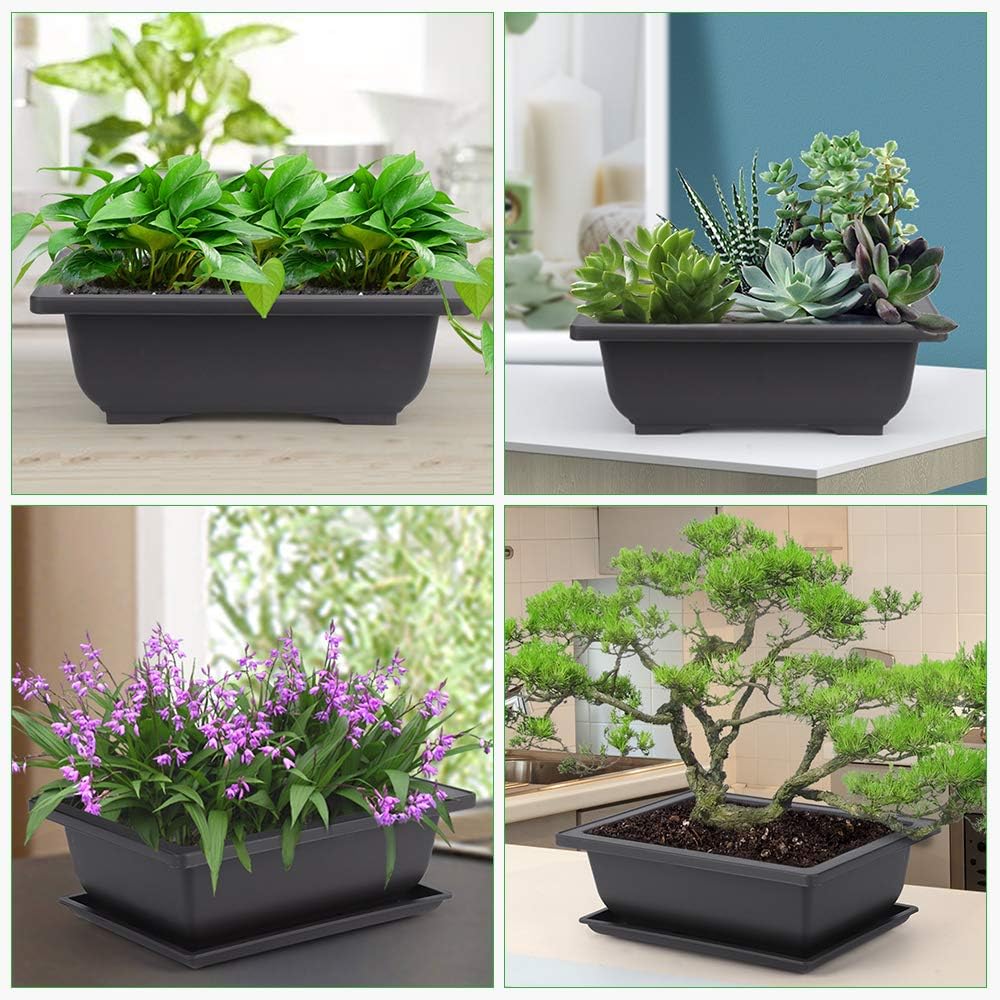 GROWNEER 6 Pack 9 Inch Bonsai Pots with Drainage Humidity Trays, Bonsai Tree Training Kits with 1