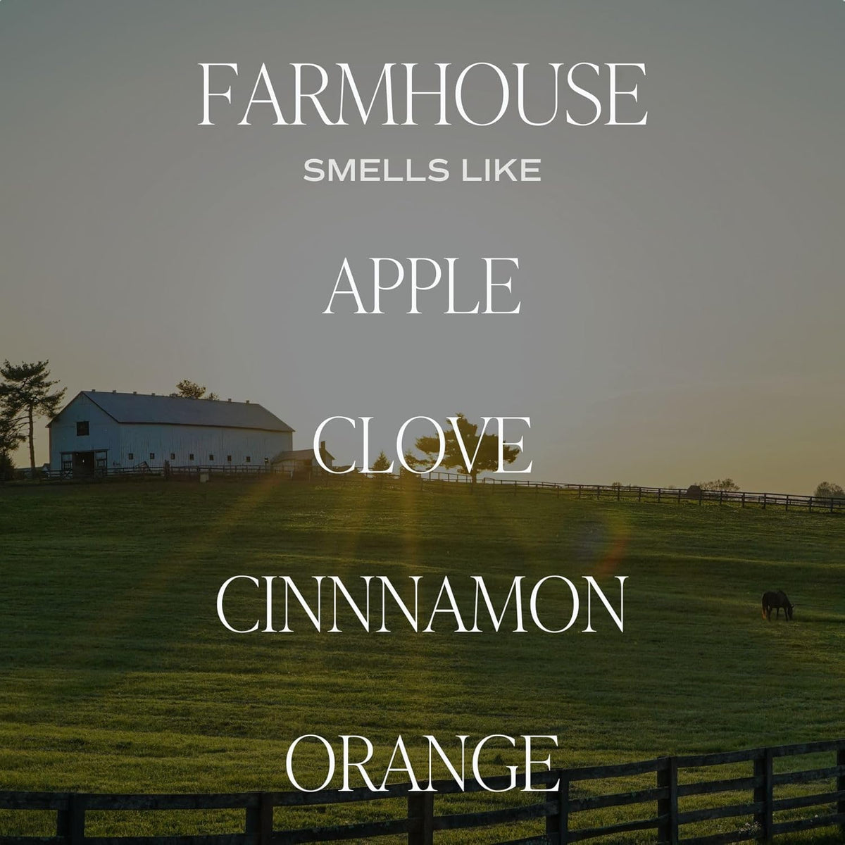 Sweet Water Decor Farmhouse Candle | Autumn, Cinnamon, and Nutmeg, Fall Scented Soy Candles for