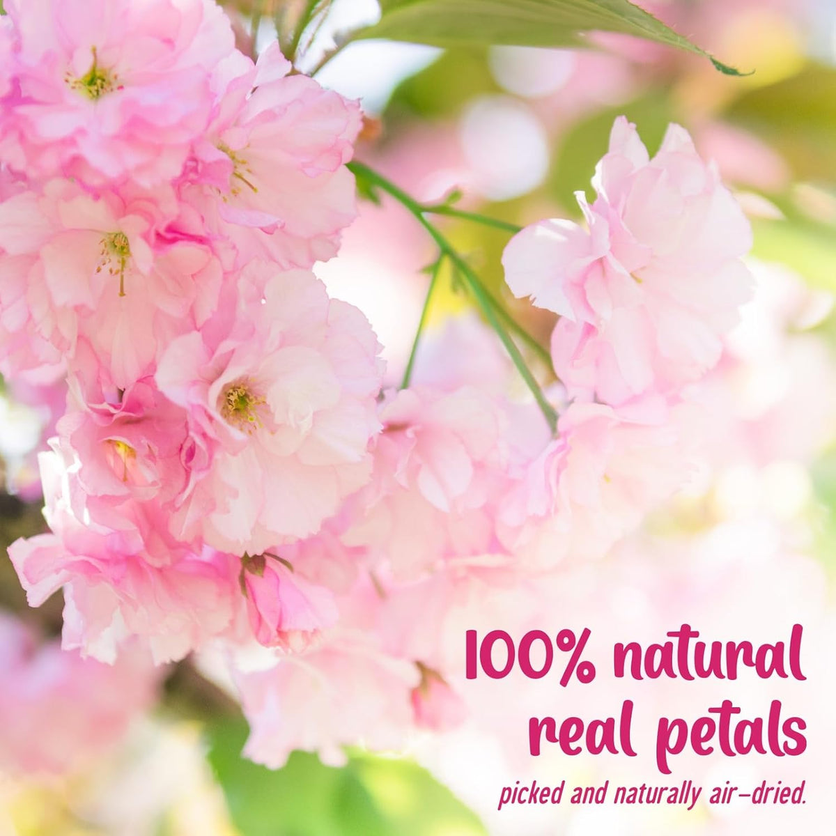 40 Pcs 2 Kinds Natural Pressed Dried Edible Flowers for Cake Topper Decoration - Pink Mix Sakura