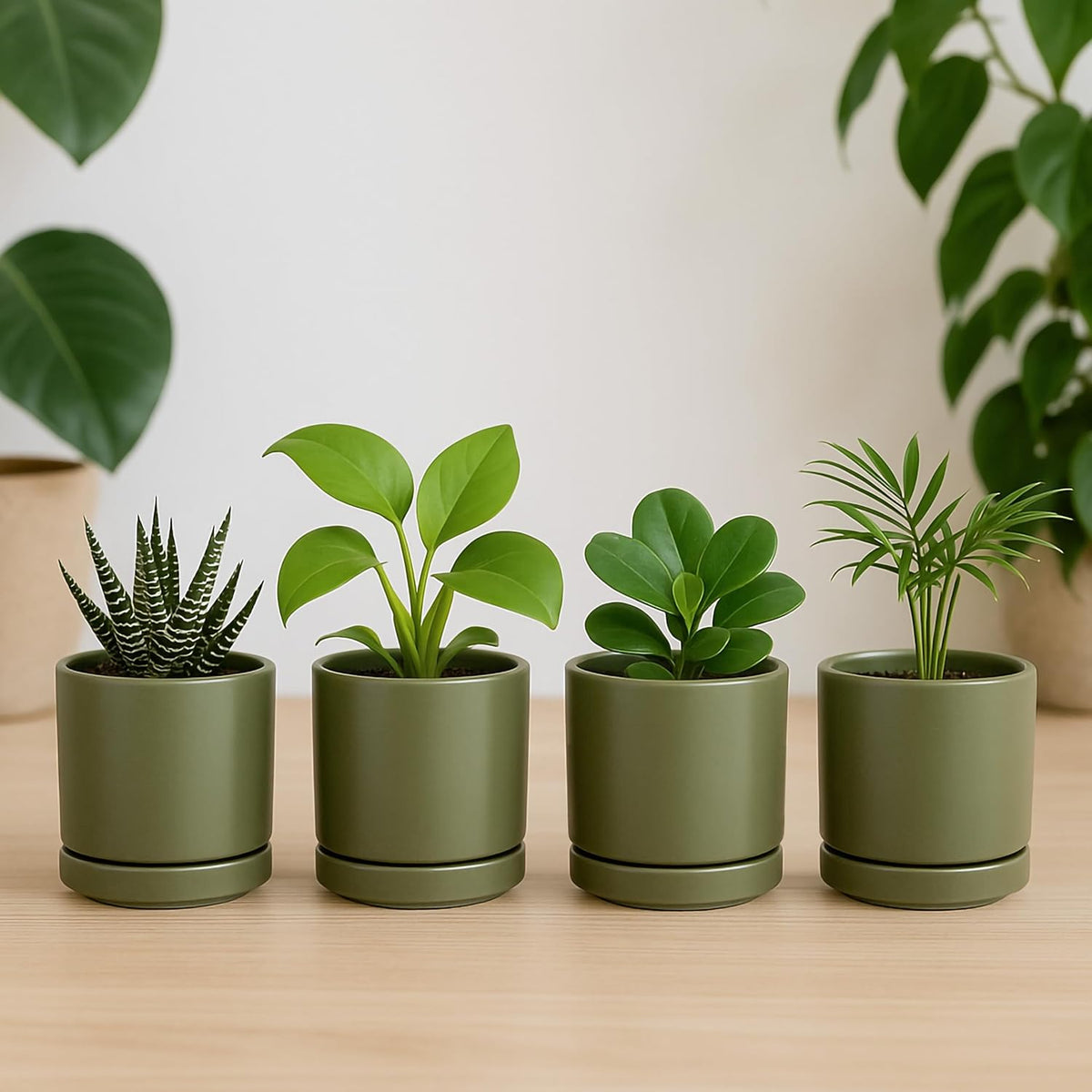 D'vine Dev Set of 4 Small Ceramic Plant Pots, 3.5 Inch Succulent Planter Pot for Plants with