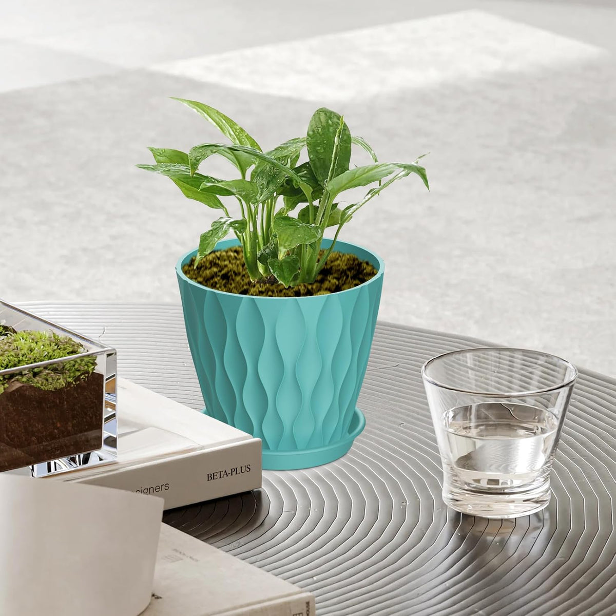 12 Pack 4 Inch Small Plant Pots with Saucers, Waffle Texture Plastic Planters with Drainage Holes
