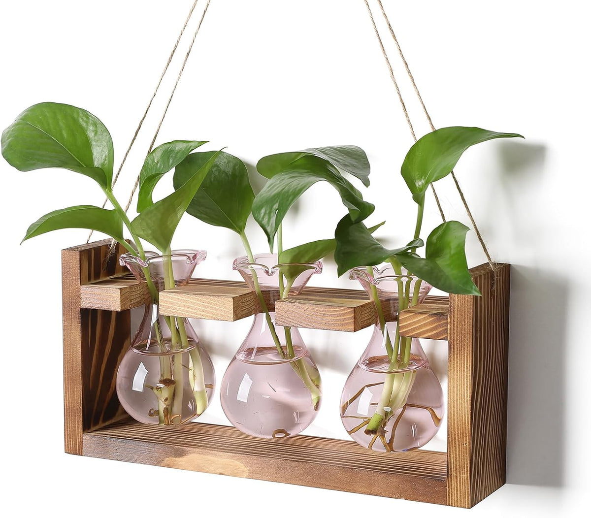 Plant Propagation Station Plant Terrarium Unique Birthday Gifts for Women Home Office Decor Planter