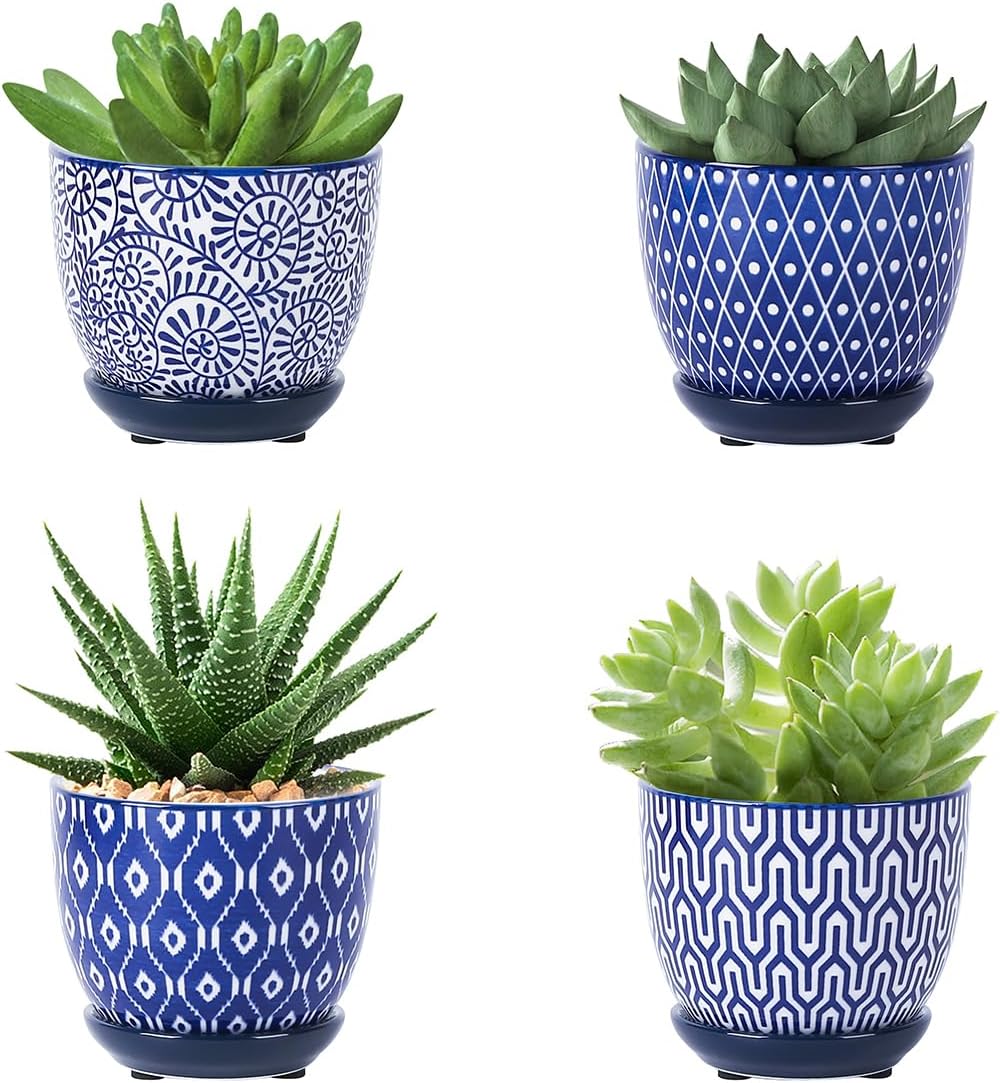 Selamica Ceramic Succulent Pots with Drainage Holes, Small Flower Pots 3.5 Inch Plant Pots for