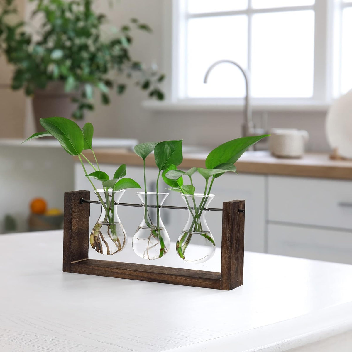 YIBOT Wall Hanging Planter Propagation Station, Plant Terrarium with Wooden Stand, Hydroponics