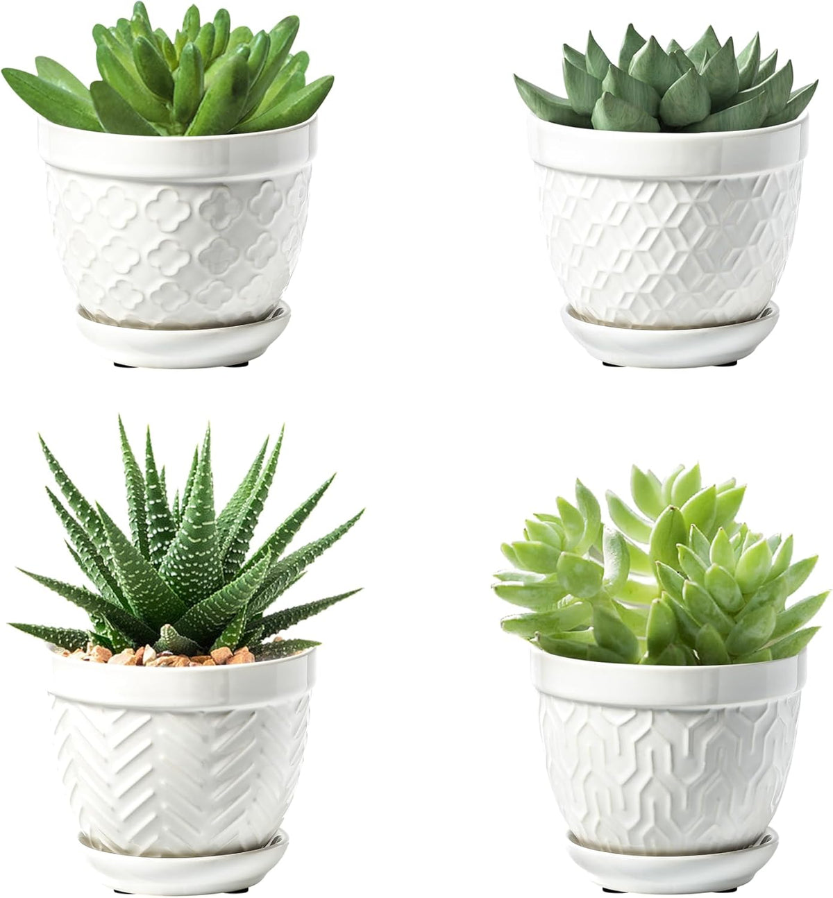 Sureasy Succulent Pots, 3.5 Inch Flower Pots for Indoor Plants, Small Plant Pots with Saucer &