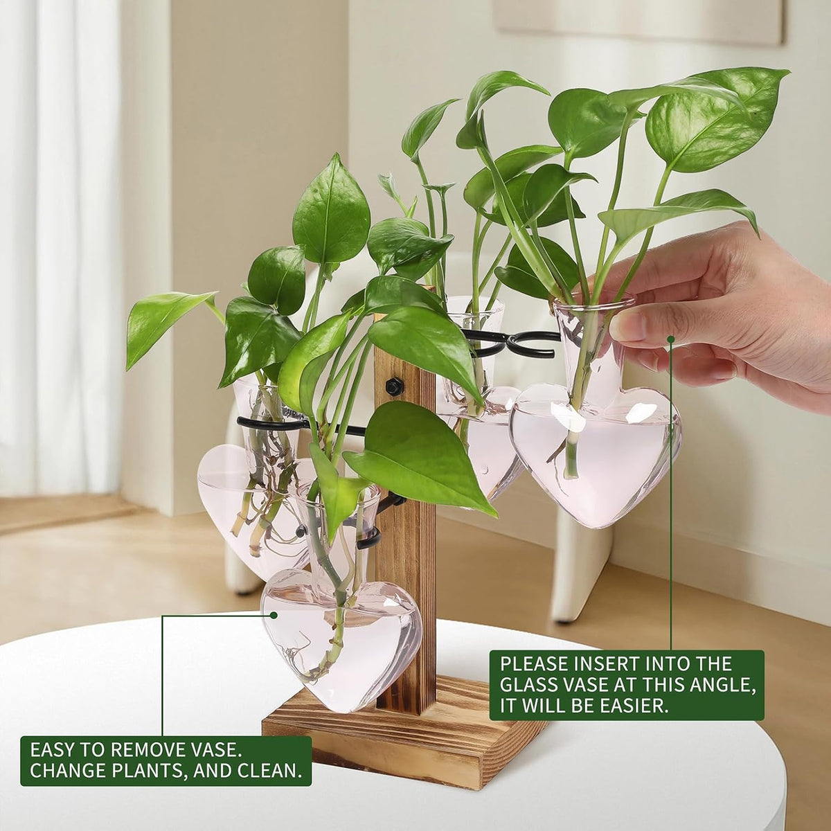 Plants Propagation Stations Plant Terrarium Kit Glass Planters for Indoor Plants House Plant