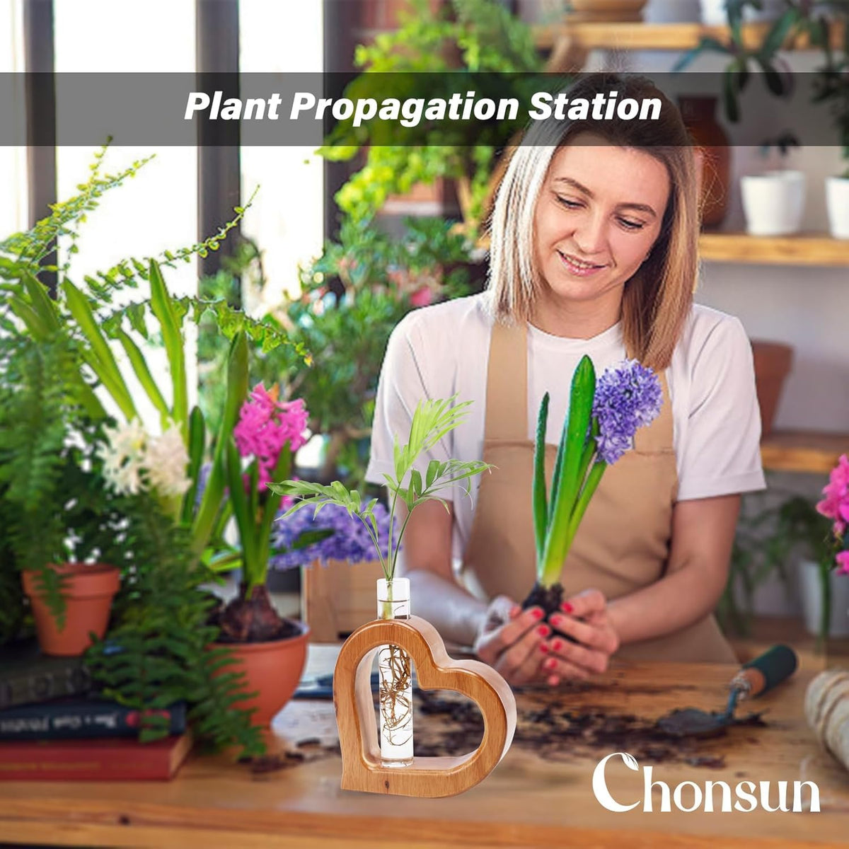 Plant Propagation Stations Plant Terrariums Wall Hanging Planters Plants Stand Indoor with Glass