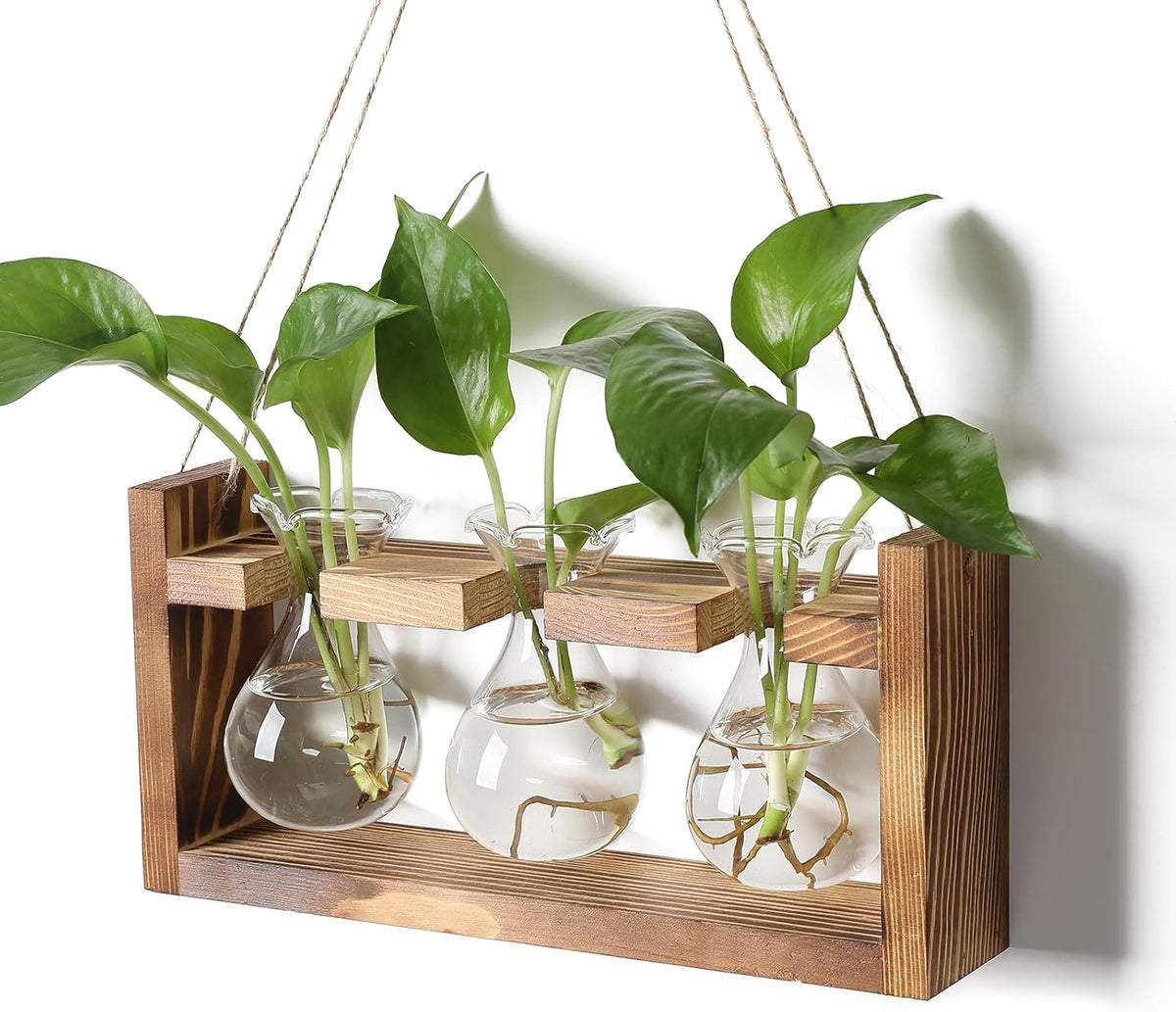 Plant Propagation Station Plant Terrarium Unique Birthday Gifts for Women Home Office Decor Planter