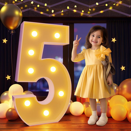 Marquee Numbers 3 Feet Tall Large Light Up Numbers 5th 15th 25th Five is A Vibe Birthday