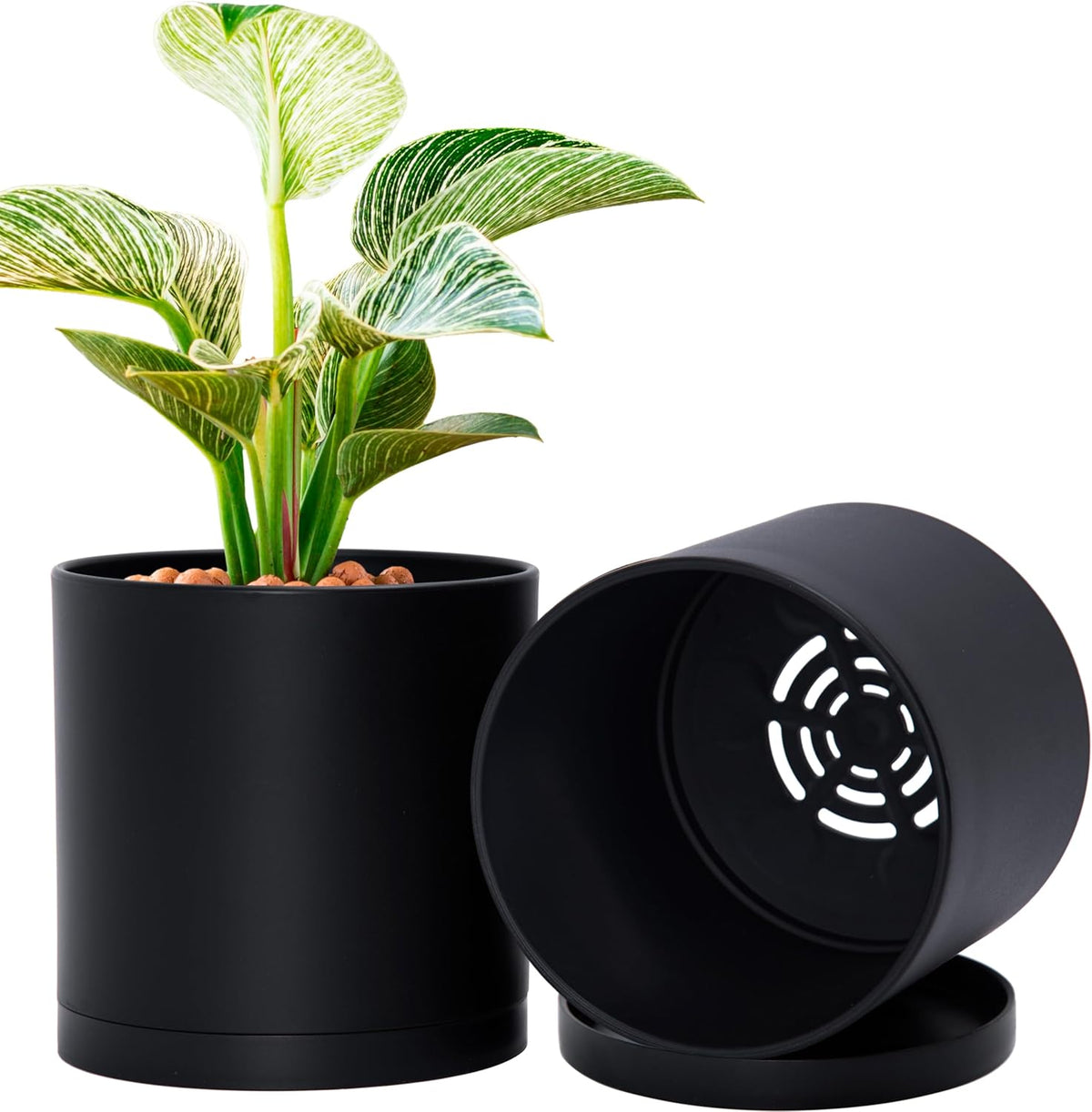 D'vine Dev 2 Pack 6 Inch Modern Plastic Plant Pots, Small Garden Planters for Plant with Drainage