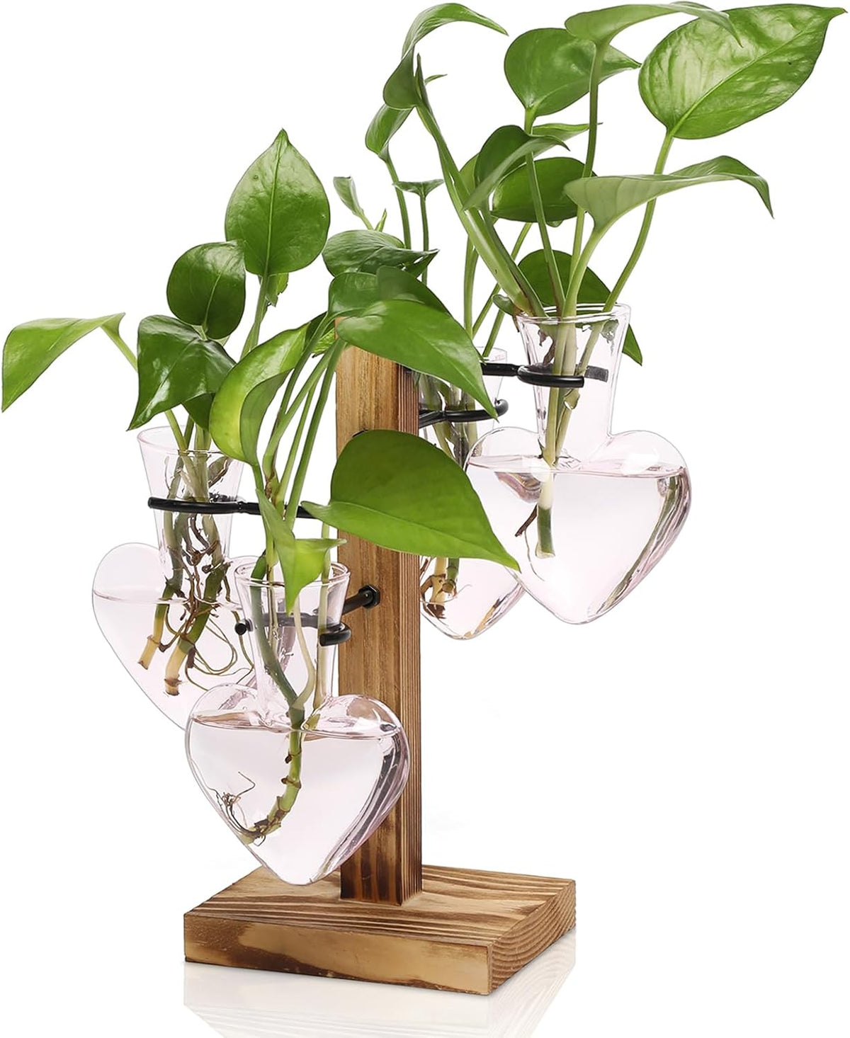 Plants Propagation Stations Plant Terrarium Kit Glass Planters for Indoor Plants House Plant