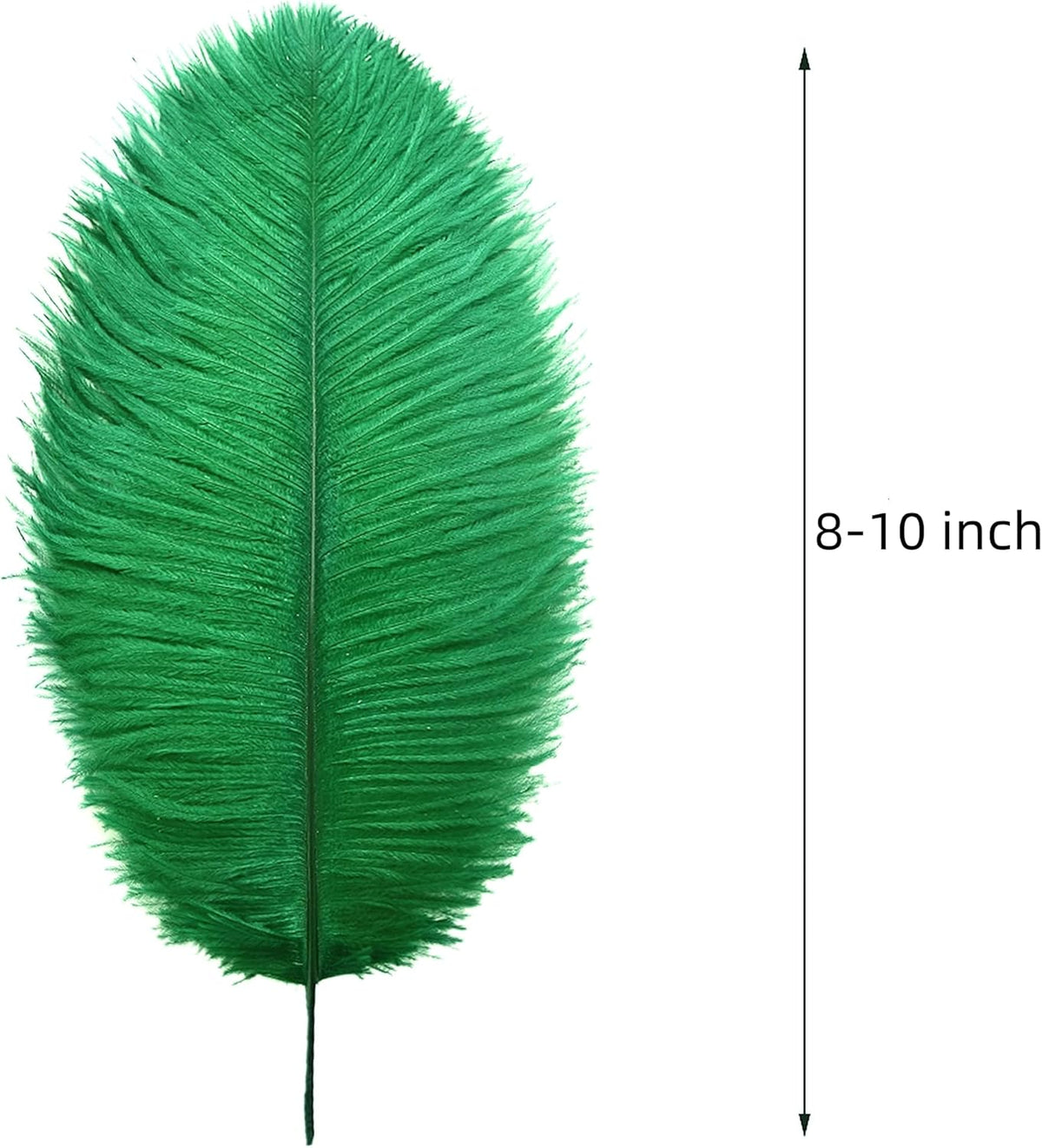 Ballinger Craft Green Ostrich Feathers - 24pcs 8-10inch Feathers for Vase, Wedding Party