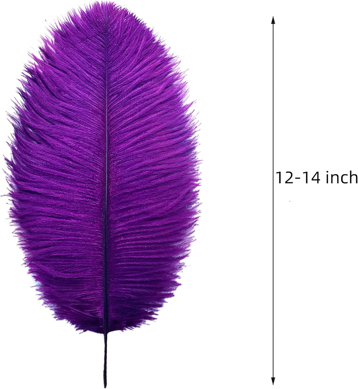 Ballinger Purple Ostrich Feathers Bulk - 24Pcs 12-14inch Big Feathers for Vase, Party Centerpieces