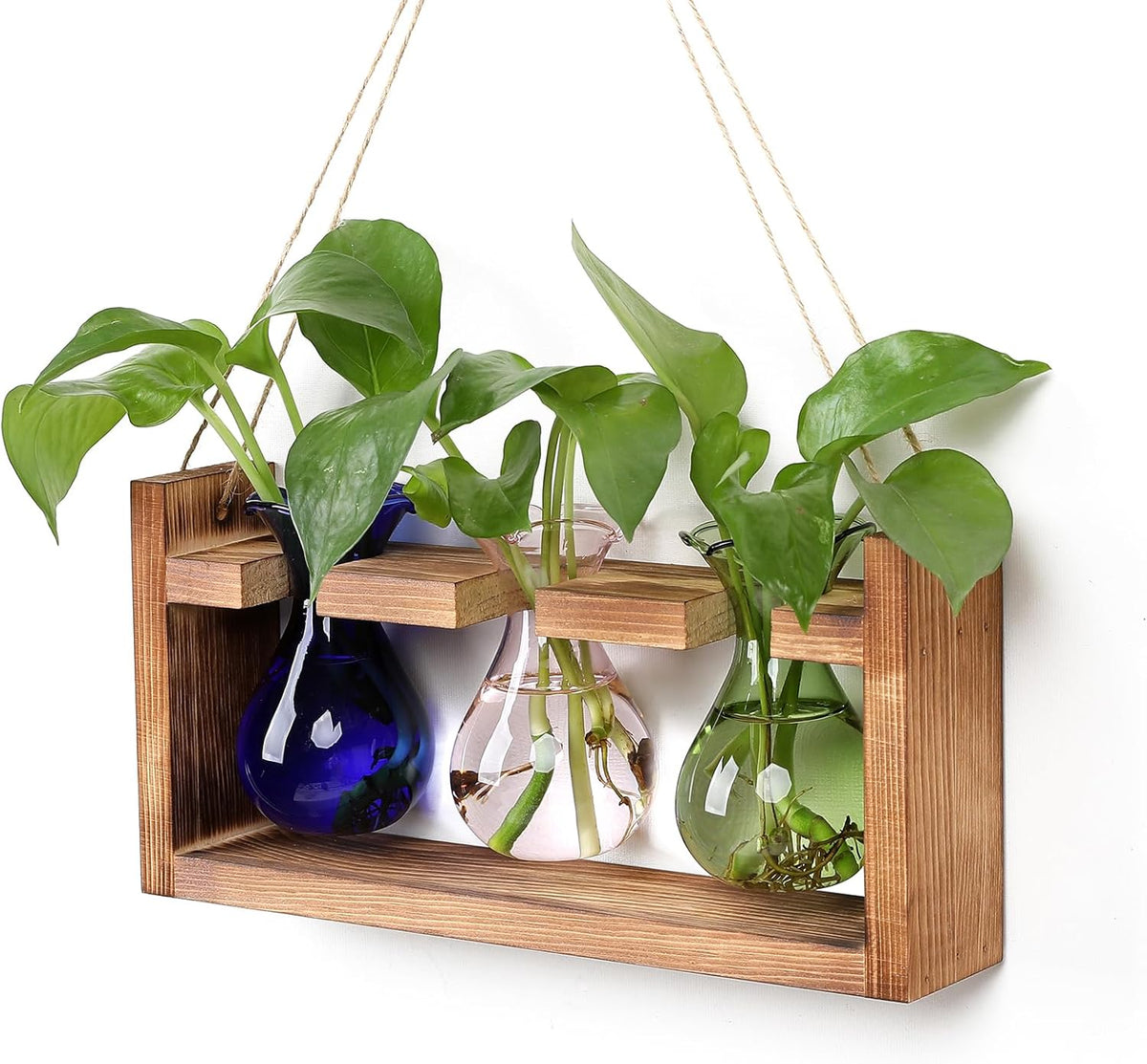 Plant Propagation Station Plant Terrarium Unique Birthday Gifts for Women Home Office Decor Planter