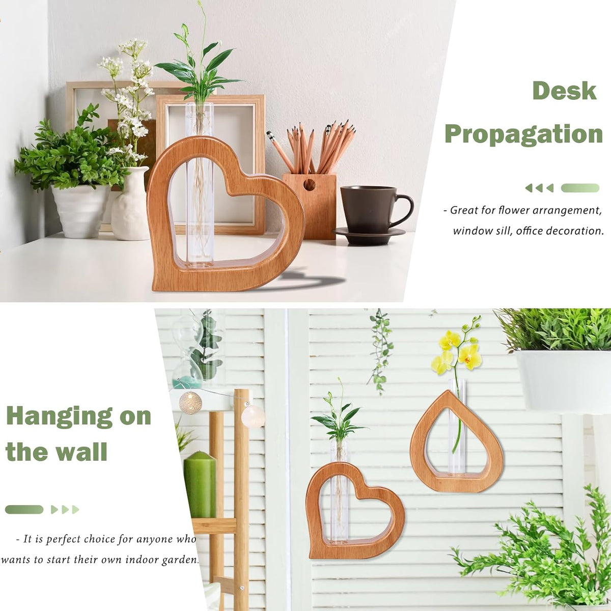 Plant Propagation Stations 2 PCS Wall Hanging Planters for Indoor Plants Glass Tubes Home