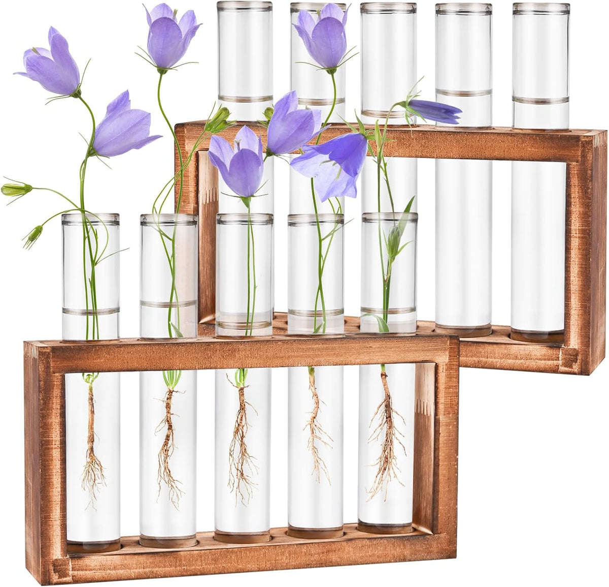 2pcs Desktop Glass Plant Propagation Station with 10 Test Tubes in Wooden Stand - Hydroponic Plants
