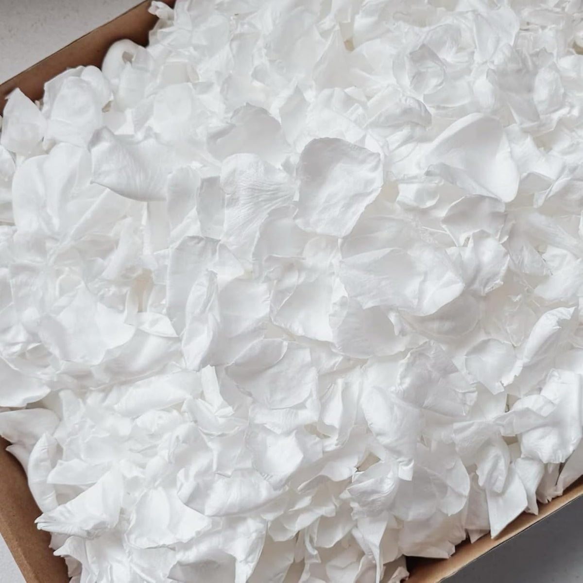 300 PCS Real White Rose Petals for Wedding, 2.82oz Fresh Rose Petals for Flower Girl to Throw