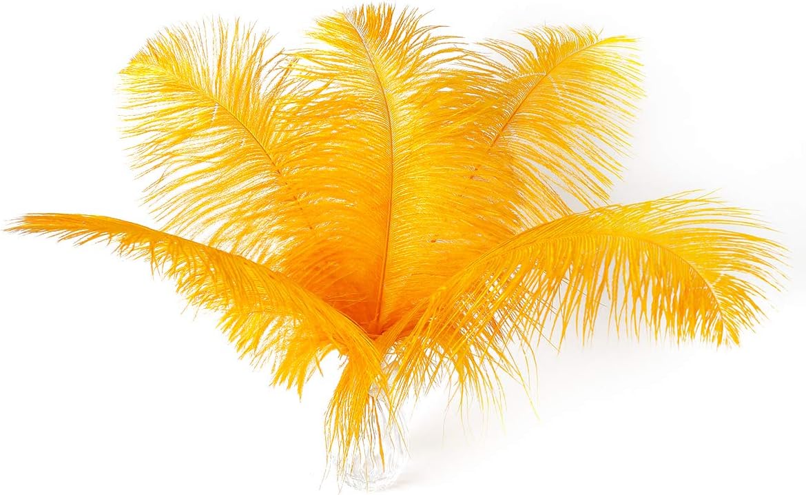 24pcs Natural Luxury Gold Ostrich Feathers 10-12inch (25-30cm) for Wedding Party